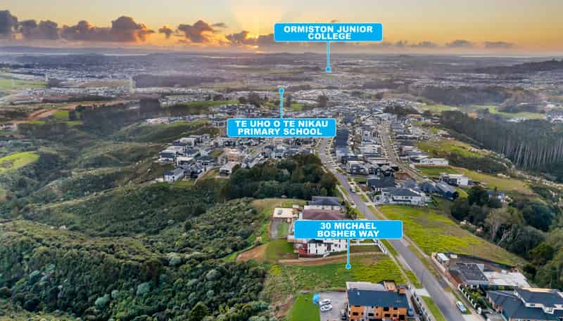 30 Michael Bosher Way, Flat Bush