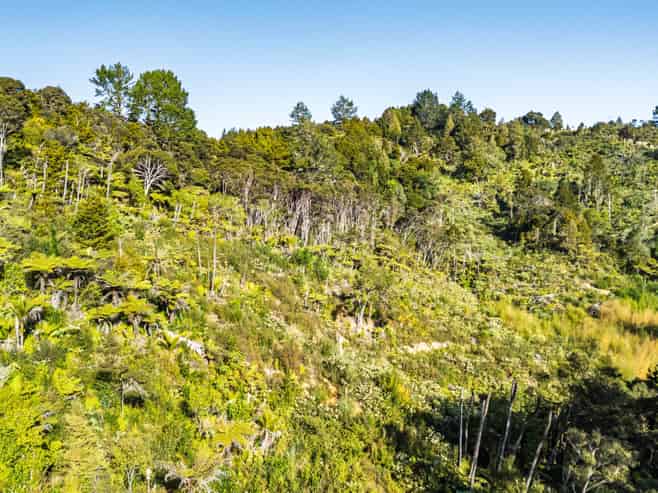 477 Pupuke Mangapa Road, Kaeo