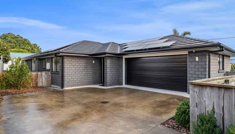 2/1 Roto Street, Westown