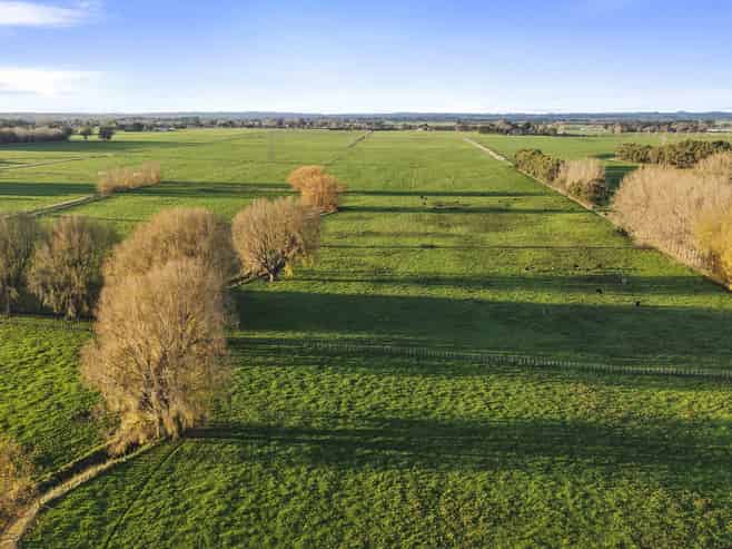 1204 Camerons Line, Aorangi