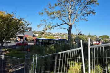  16 Fencible Drive, Howick