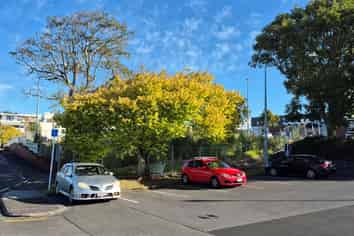  16 Fencible Drive, Howick