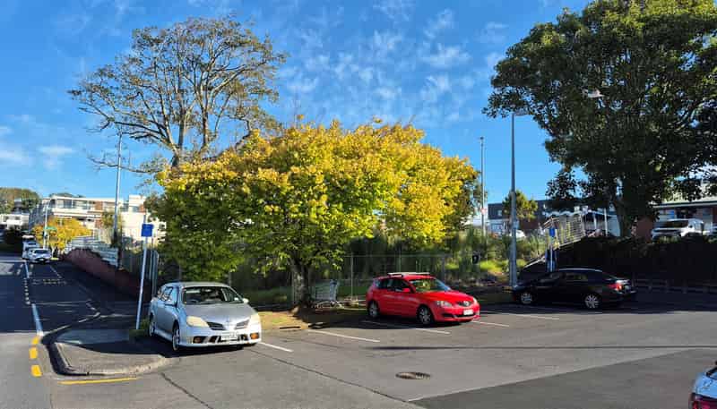  16 Fencible Drive, Howick