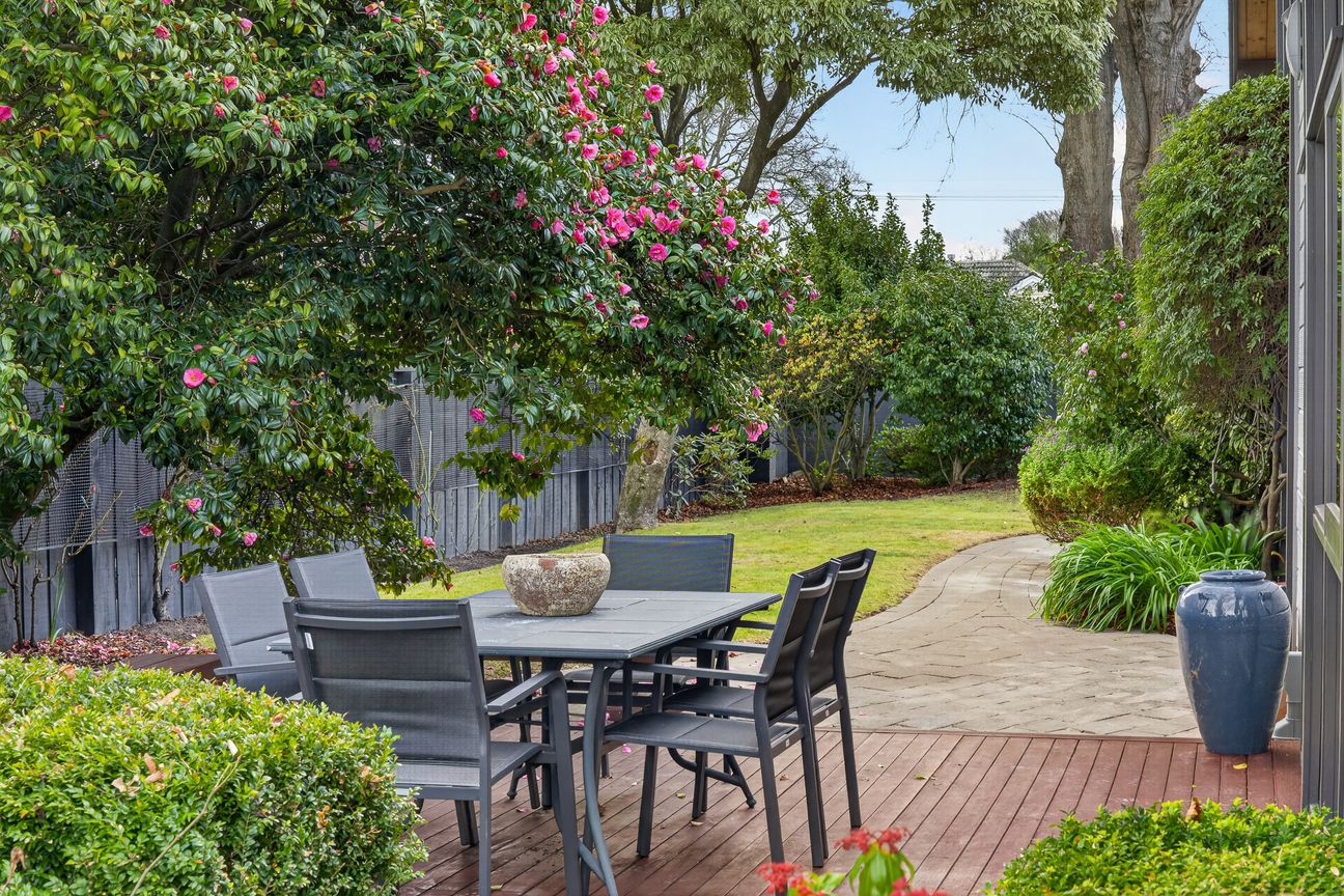 Unexpectedly Available - School Zone Trifecta - Ansicht 3