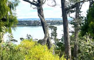 139a Attwood, Paremoremo