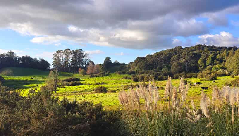 109 Hunua Road, Drury