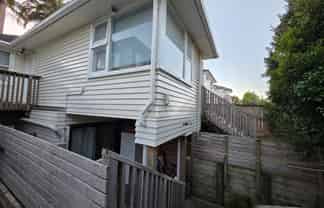 20C KOHEKOHE STREET, New Lynn