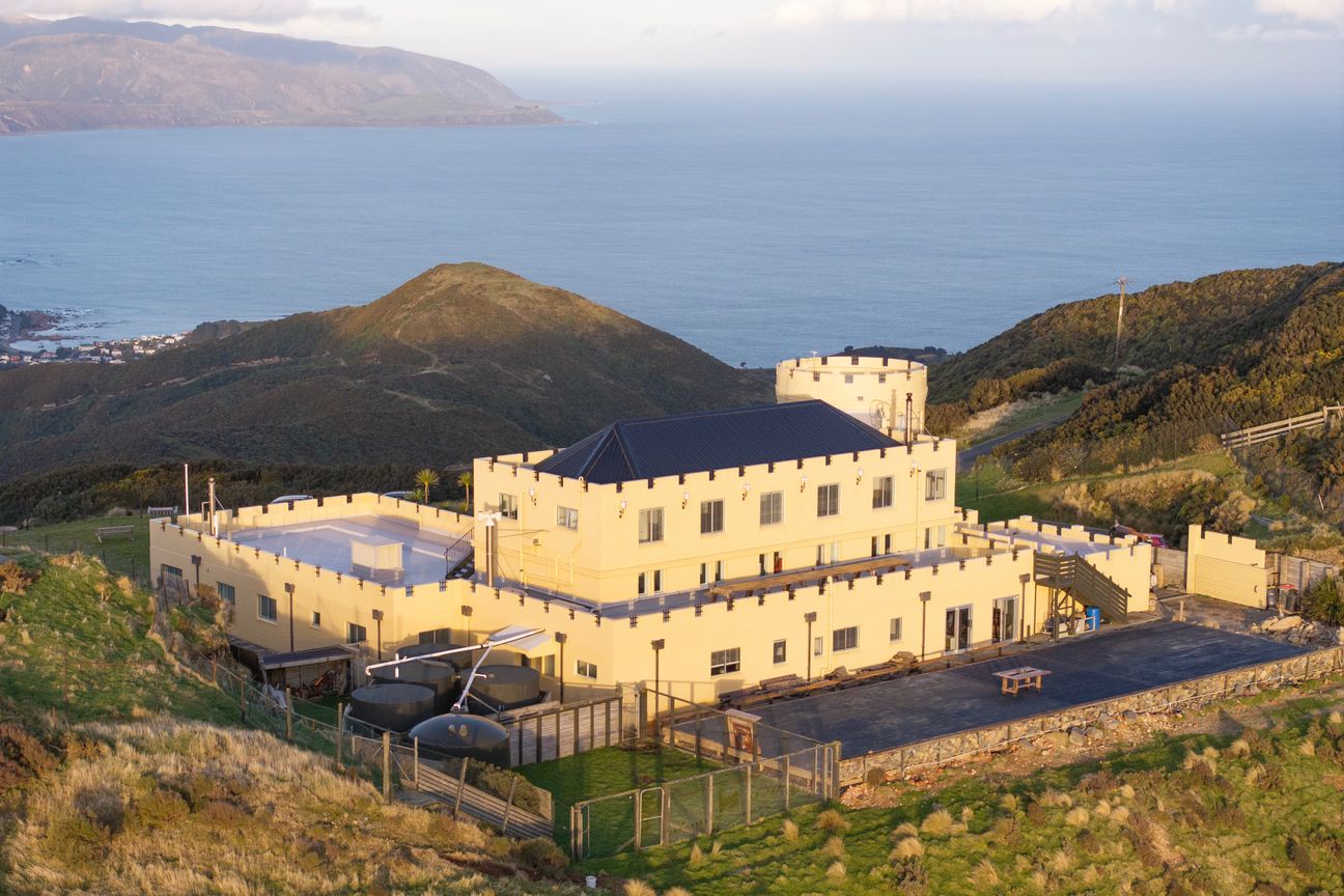 Wellington's Hilltop Castle - Radharc 2