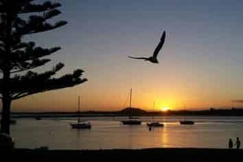 Auckland - Address withheld