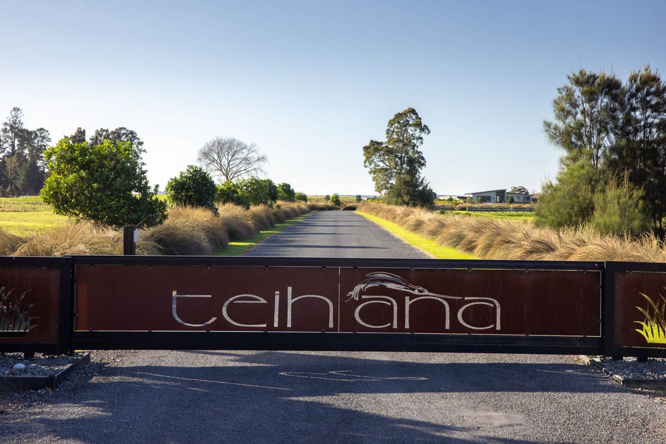 Last Section - Teihana Subdivision - Widok 2