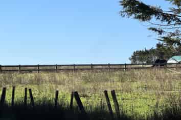 Lot4 Blackbridge Road, Dairy Flat