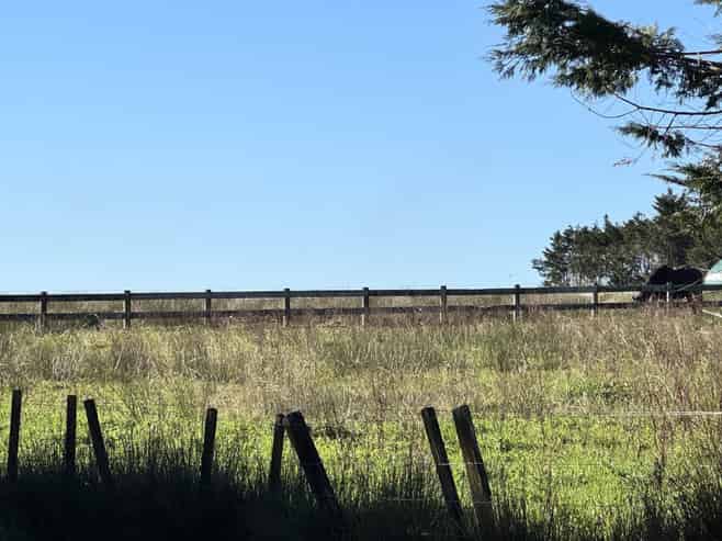 Lot4 Blackbridge Road, Dairy Flat