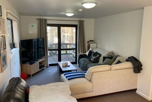Cosy cottage on shared Lifestyle block - View 3