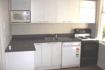 A/12 Grant St, Dunedin Central
