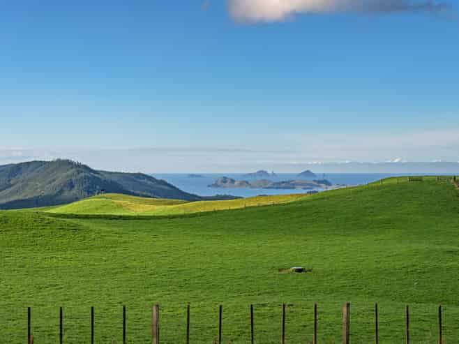 165 McBeth Road, Hikuai