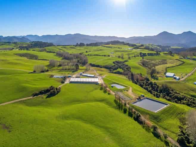 165 McBeth Road, Hikuai