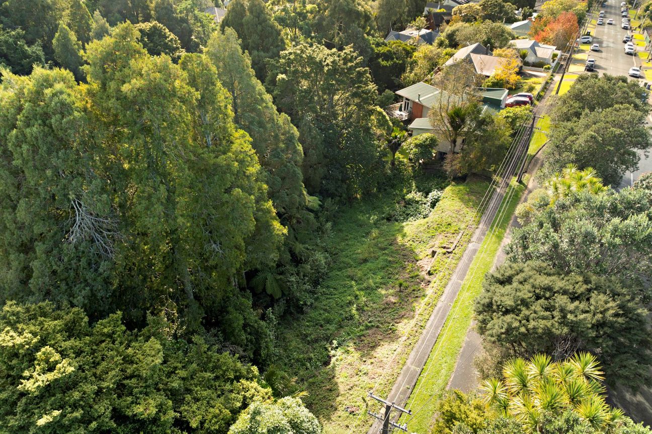 Bush Section 2428 m² - In The Heart of Hillcrest - Widok 2