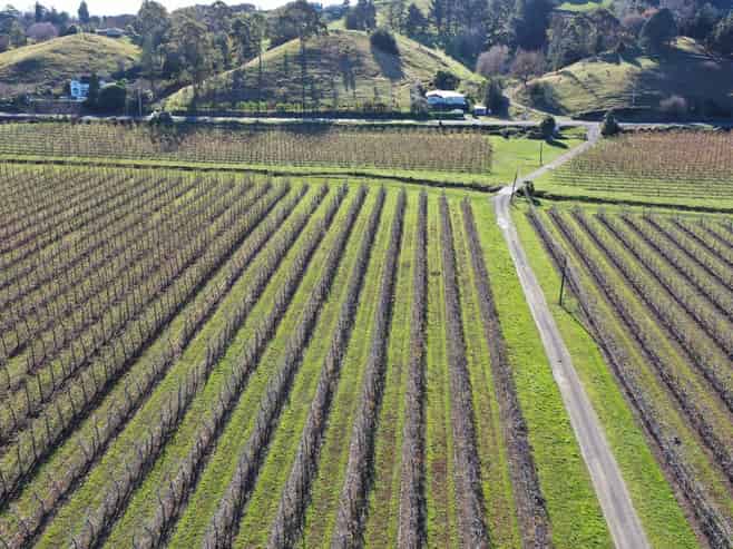 1313 Korokipo Road, Waiohiki