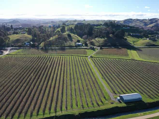 1313 Korokipo Road, Waiohiki