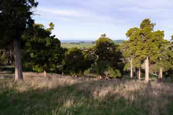 246 Double Hill Road, Herbert