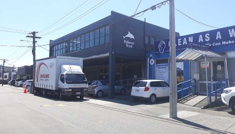 26 Sydney Street, Petone