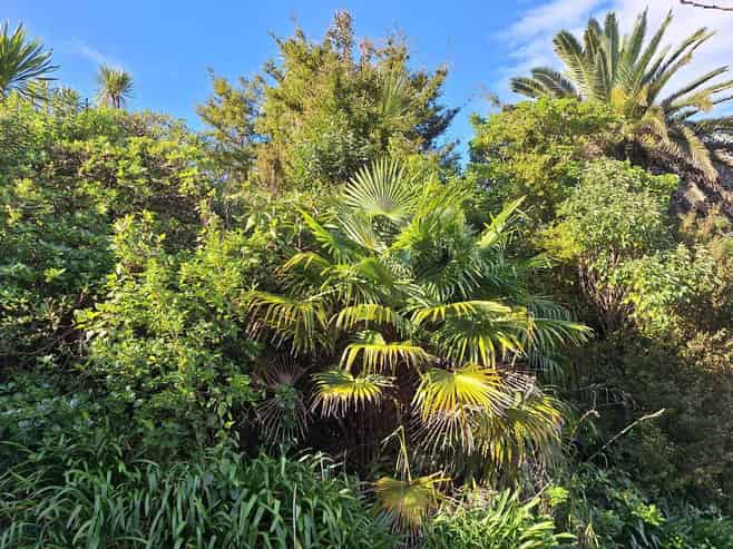 813 Whangarei Heads Road, Parua Bay