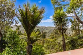 19 Te Aute Ridge Road, Bethells Beach