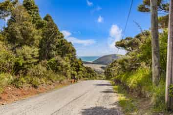 19 Te Aute Ridge Road, Bethells Beach