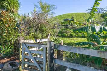 2787A Tapu-Coroglen Road, Coroglen