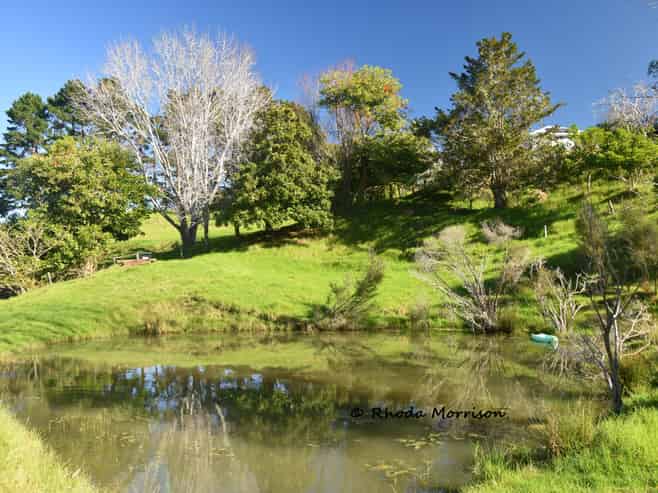 330 Franklin Road, Paparoa