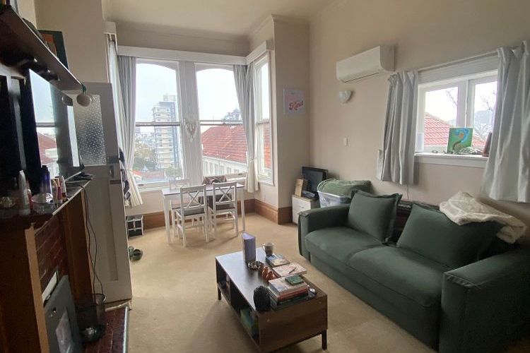 Charming 1bdrm Flat in Aro Valley - View 3