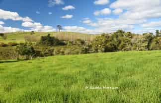 7 Te Tonga Road, Matakohe