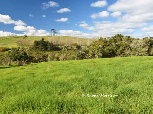 7 Te Tonga Road, Matakohe