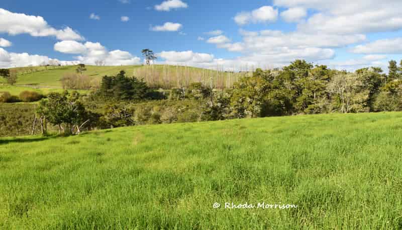 7 Te Tonga Road, Matakohe