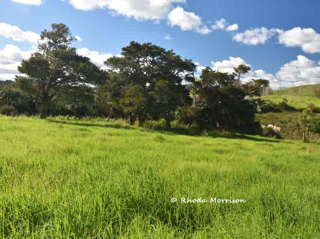 7 Te Tonga Road, Matakohe