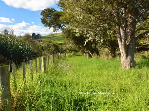 7 Te Tonga Road, Matakohe