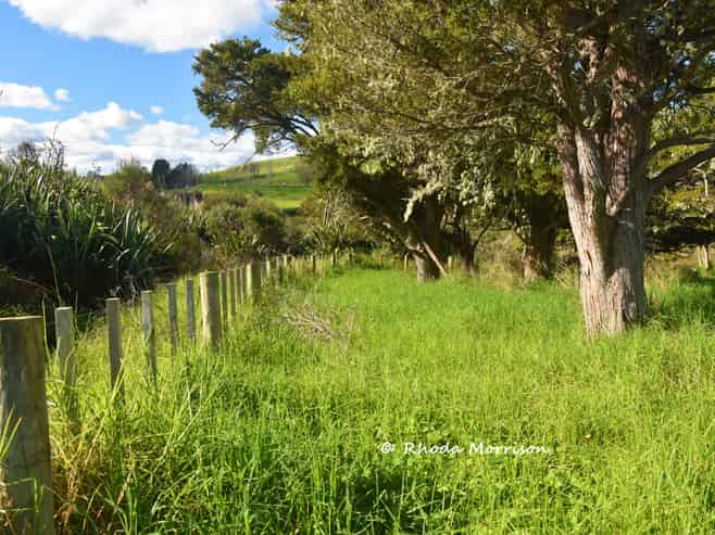 7 Te Tonga Road, Matakohe