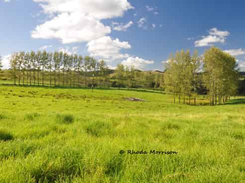 113 Te Rawhiti Road, Matakohe