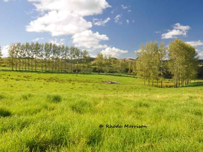 113 Te Rawhiti Road, Matakohe