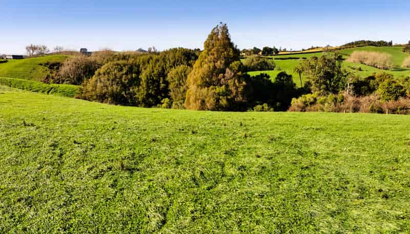 Lot Lots 2,3,4,  York Road, Lepperton