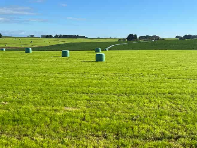 165 Orr Road, Waimatua