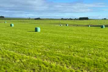 165 Orr Road, Waimatua