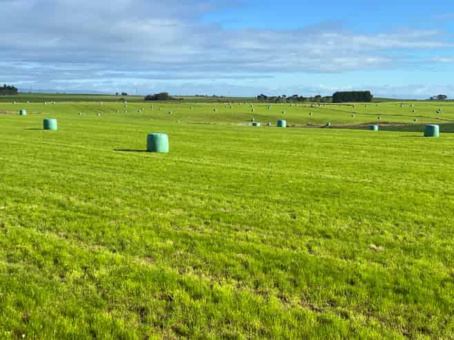 165 Orr Road, Waimatua
