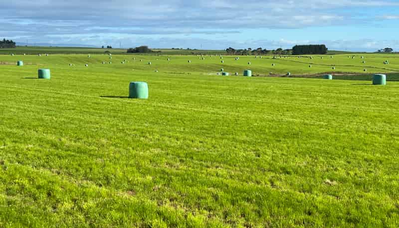 165 Orr Road, Waimatua