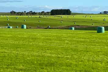 165 Orr Road, Waimatua