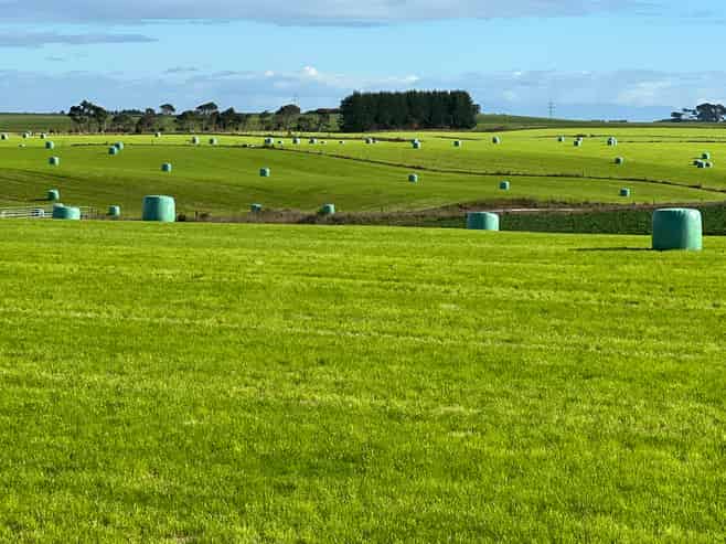 165 Orr Road, Waimatua