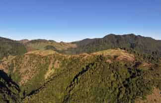 7957 State Highway 2, Opotiki
