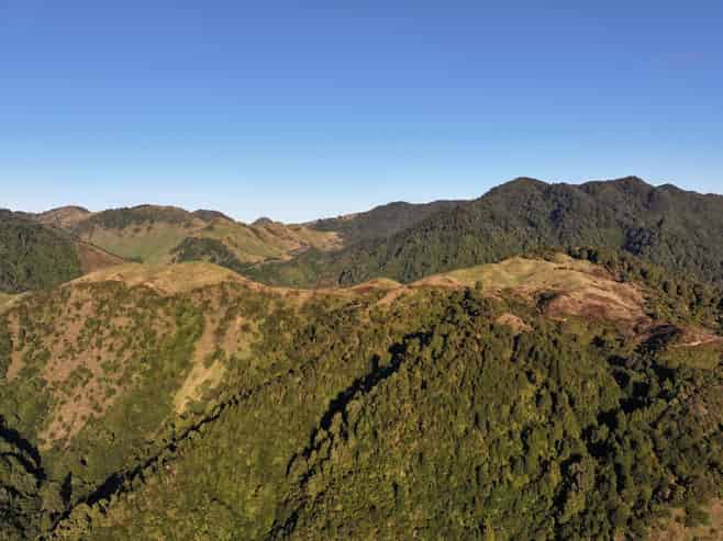 7957 State Highway 2, Opotiki