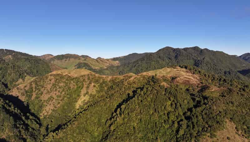 7957 State Highway 2, Opotiki