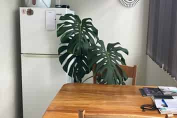 329B Oceanbeach Road (DONWSTAIRS), Mount Maunganui